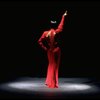 Chita Rivera in a scene from the Broadway production of the musical "Kiss Of The Spiderwoman." (New York)