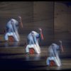 A scene from the Broadway production of the musical "Pacific Overtures." (New York)