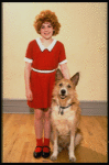 Actress Danielle Findley in costume as "Annie" w. dog Beau ("Sandy") in a publicity shot for the Broadway musical "Annie 2: Miss Hannigan's Revenge." (New York)