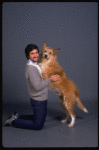 Animal trainer William Berloni w. dog Beau ("Sandy") in a publicity shot for the Broadway musical "Annie 2: Miss Hannigan's Revenge." (New York)