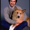 Animal trainer William Berloni w. dog Beau ("Sandy") in a publicity shot for the Broadway musical "Annie 2: Miss Hannigan's Revenge." (New York)