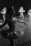 New York City Ballet production of "Symphony in C" with Gloria Contreras, choreography by George Balanchine (New York)