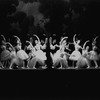 New York City Ballet production of "Gounod Symphony", choreography by George Balanchine (New York)