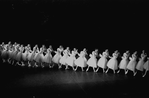 New York City Ballet production of "Swan Lake" corps de ballet in diagonal line, choreography by George Balanchine (New York)