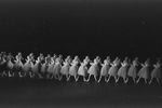 New York City Ballet production of "Swan Lake" corps de ballet, choreography by George Balanchine (New York)