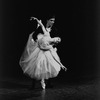 New York City Ballet production of "Scotch Symphony" with Melissa Hayden and Jacques d'Amboise, choreography by George Balanchine (New York)