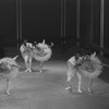 New York City Ballet production of "Bugaku", Allegra Kent and Edward Villella, choreography by George Balanchine (New York)