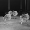 New York City Ballet production of "Bugaku", Allegra Kent and Edward Villella, choreography by George Balanchine (New York)
