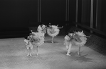 New York City Ballet production of "Bugaku", Allegra Kent and Edward Villella, choreography by George Balanchine (New York)