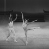 New York City Ballet production of "Bugaku" with Edward Villella and Allegra Kent, choreography by George Balanchine (New York)