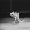 New York City Ballet production of "Bugaku" with Edward Villella and Allegra Kent, choreography by George Balanchine (New York)