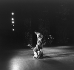 New York City Ballet production of "The Chase" with Allegra Kent and Andre Prokovsky, choreography by Jacques d'Amboise (New York)