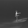 New York City Ballet production of "Firebird" with Melissa Hayden, choreography by George Balanchine (New York)