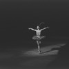 New York City Ballet production of "Firebird" with Melissa Hayden, choreography by George Balanchine (New York)