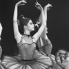 New York City Ballet production of "Pas de Deux and Divertissement" (Delibes) with Suzanne Erlon, choreography by George Balanchine (New York)