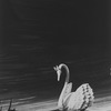 New York City Ballet production of "Swan Lake" showing prop swan, choreography by George Balanchine (New York)