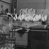 New York City Ballet prop swans for "Swan Lake" (New York)