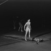 New York City Ballet production of "The Cage" with Allegra Kent and Francisco Moncion, choreography by Jerome Robbins (New York)