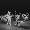 New York City Ballet production of "Swan Lake" with Suzanne Farrell and Jacques d'Amboise, choreography by George Balanchine (New York)
