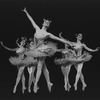 New York City Ballet production of "Harlequinade" with Carol Sumner, choreography by George Balanchine (New York)