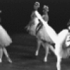 New York City Ballet production of "Swan Lake" with Patricia McBride and Conrad Ludlow, choreography by George Balanchine (New York)