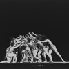 New York City Ballet production of "The Cage", choreography by Jerome Robbins (New York)