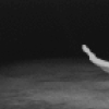 New York City Ballet production of "The Cage" with Patricia McBride and Francisco Moncion, choreography by Jerome Robbins (New York)