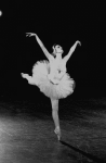 New York City Ballet production of "Swan Lake" with Patricia McBride, choreography by George Balanchine (New York)