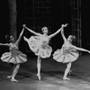 New York City Ballet production of "Divertimento No. 15" with Susan Pilarre, Carol Sumner and Virginia Stuart, choreography by George Balanchine (New York)