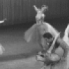 New York City Ballet production of "Brahms-Schoenberg Quartet" with Melissa Hayden and Anthony Blum, choreography by George Balanchine (New York)