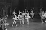 New York City Ballet production "Divertimento No. 15" with Allegra Kent, Melissa Hayden, Peter Martins and Merrill Ashley, choreography by George Balanchine (New York)