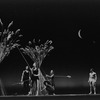 New York City Ballet production of "Watermill" with Edward Villella, choreography by Jerome Robbins (New York)