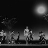 New York City Ballet production of "Watermill" with Edward Villella, choreography by Jerome Robbins (New York)