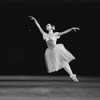 New York City Ballet production of "Four Bagatelles" with Gelsey Kirkland, choreography by Jerome Robbins (New York)