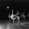 New York City Ballet production of "Swan Lake" with Suzanne Farrell and Peter Martins, choreography by George Balanchine (New York)