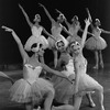 New York City Ballet production of "Swan Lake", choreography by George Balanchine (New York)