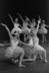 New York City Ballet production of "Swan Lake", choreography by George Balanchine (New York)