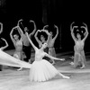 New York City Ballet production of "Mother Goose" with Delia Peters as the Lilac Fairy, choreography by Jerome Robbins (New York)