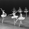New York City Ballet production of "Divertimento No. 15", with Merrill Ashley at center, choreography by George Balanchine (New York)