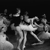 New York City Ballet production of "Swan Lake" with Ghislaine Thesmar and Adam Luders, choreography by George Balanchine (New York)
