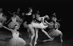 New York City Ballet production of "Swan Lake" with Ghislaine Thesmar and Adam Luders, choreography by George Balanchine (New York)