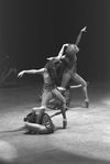 New York City Ballet production of "The Cage" with choreography by Jerome Robbins (New York)