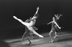 New York City Ballet production of "Opus 19/The Dreamer" with Mikhail Baryshnikov, choreography by Jerome Robbins (New York)