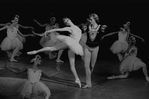 New York City Ballet production of "Swan Lake" with Nina Fedorova and Adam Luders, choreography by George Balanchine (New York)