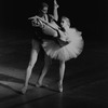 New York City Ballet production of "Swan Lake" with Nina Fedorova and Adam Luders, choreography by George Balanchine (New York)