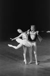 New York City Ballet production of "Swan Lake" with Suzanne Farrell and Peter Martins, choreography by George Balanchine (New York)