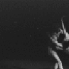 New York City Ballet production of "The Cage" with Patricia McBride and Bart Cook, choreography by Jerome Robbins (New York)