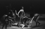 New York City Ballet production of "The Cage" with Patricia McBride, choreography by Jerome Robbins (New York)