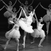 New York City Ballet production of "Swan Lake" with Merrill Ashley, choreography by George Balanchine (New York)