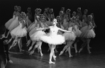 New York City Ballet production of "Swan Lake" with Merrill Ashley, choreography by George Balanchine (New York)